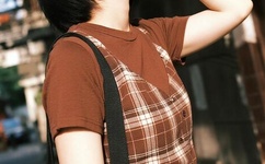 华人城另类小说